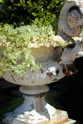 Drought-tolerant landscaping