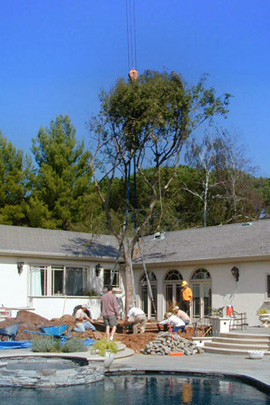 Outdoor kitchen and living