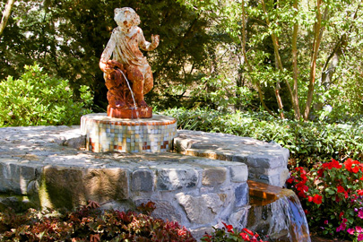 Landscape design and construction
